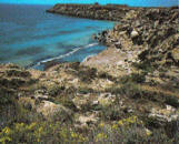 favignana