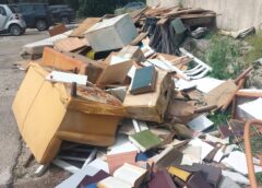 Palermo: Parco della Favorita invaso dai rifiuti. Dichiarazione consigliera comunale Amella